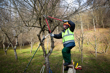 homme qui coupe des branches