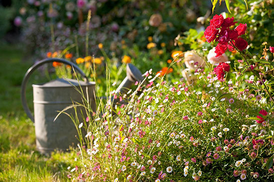 jardin fleuri